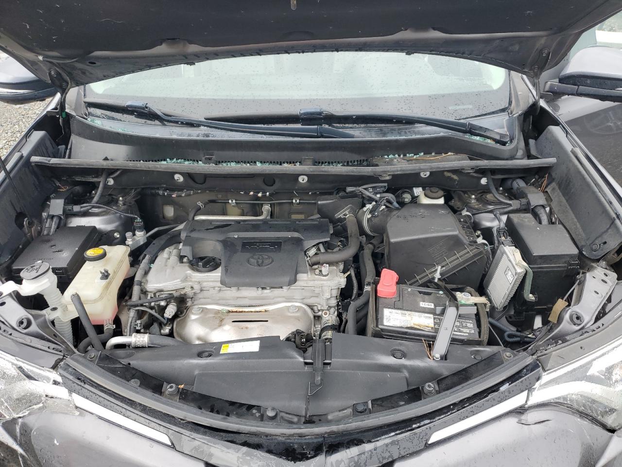 2017 Toyota Rav4 Limited VIN: 2T3DFREV7HW590343 Lot: 81934555