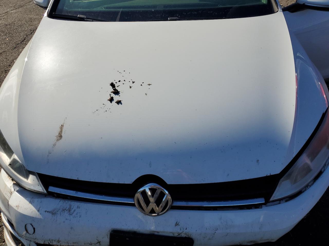 2016 Volkswagen Golf Sportwagen S VIN: 3VWC17AU3GM517043 Lot: 89497875