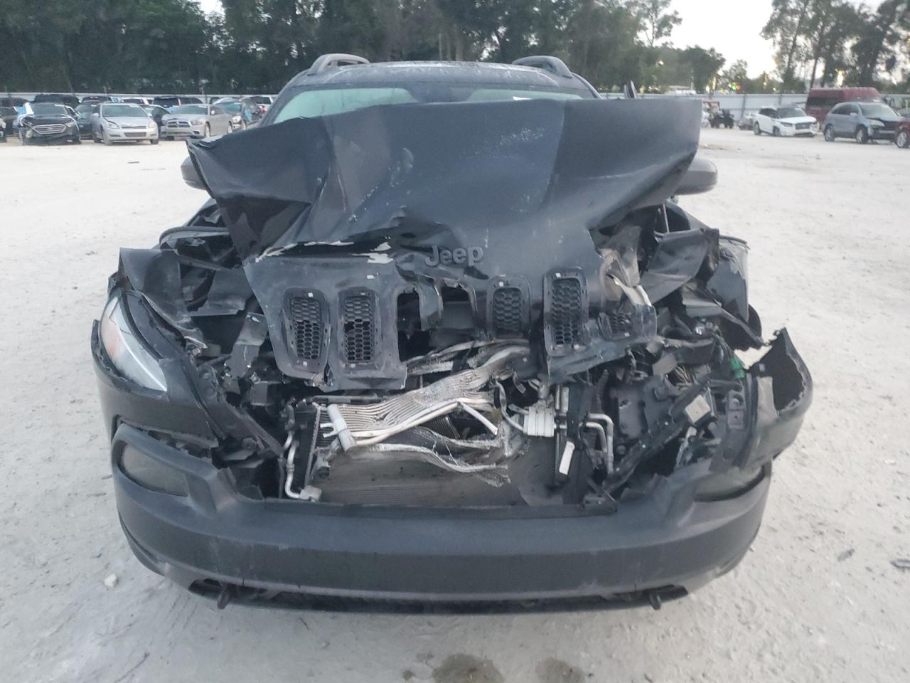 2018 Jeep Cherokee Trailhawk VIN: 1C4PJMBX5JD546302 Lot: 82001955