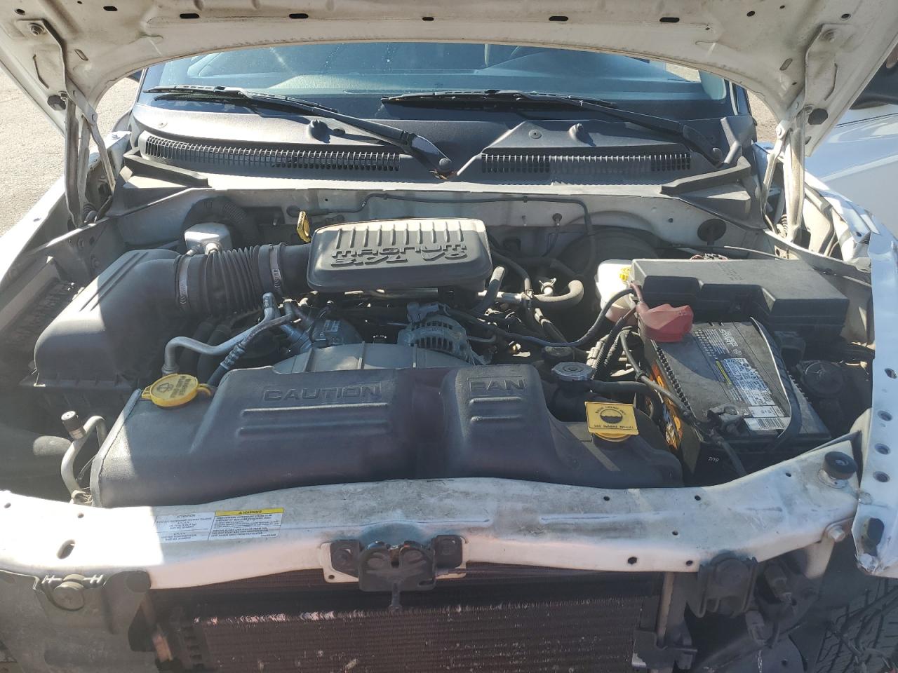 2004 Dodge Dakota Sxt VIN: 1D7FL16K24S558898 Lot: 81965965