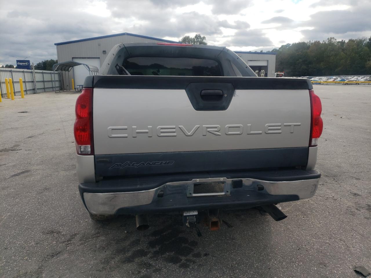 2005 Chevrolet Avalanche C1500 VIN: 3GNEC12Z95G183763 Lot: 82448605