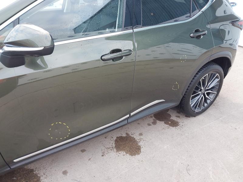 2022 LEXUS NX 450H +