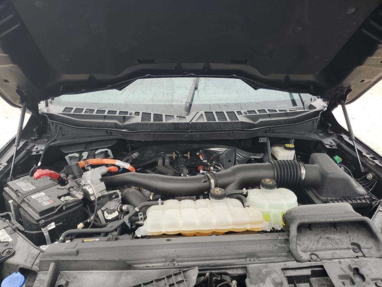 2024 Ford F150 Xlt VIN: 1FTFW3LD0RFB13918 Lot: 87231315