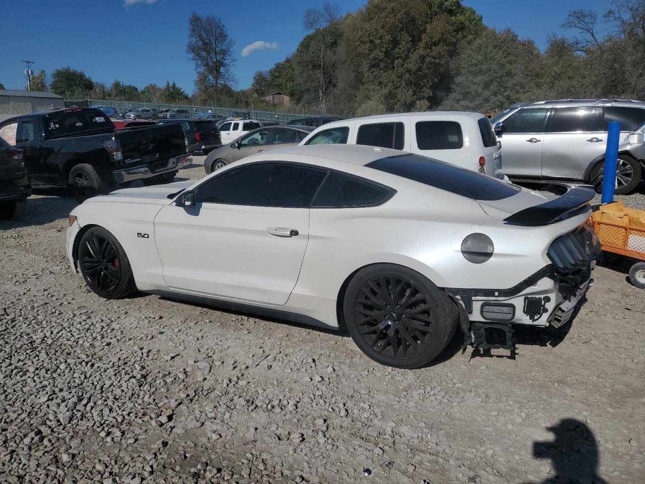 2017 Ford Mustang Gt white coupe gas 1FA6P8CFXH5316532 photo #3