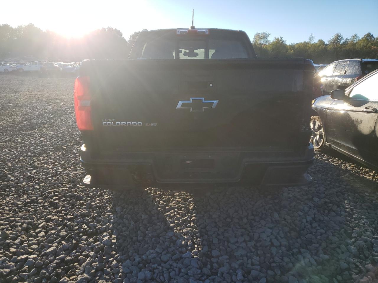 2019 Chevrolet Colorado Z71 VIN: 1GCGTDEN4K1261713 Lot: 85336205