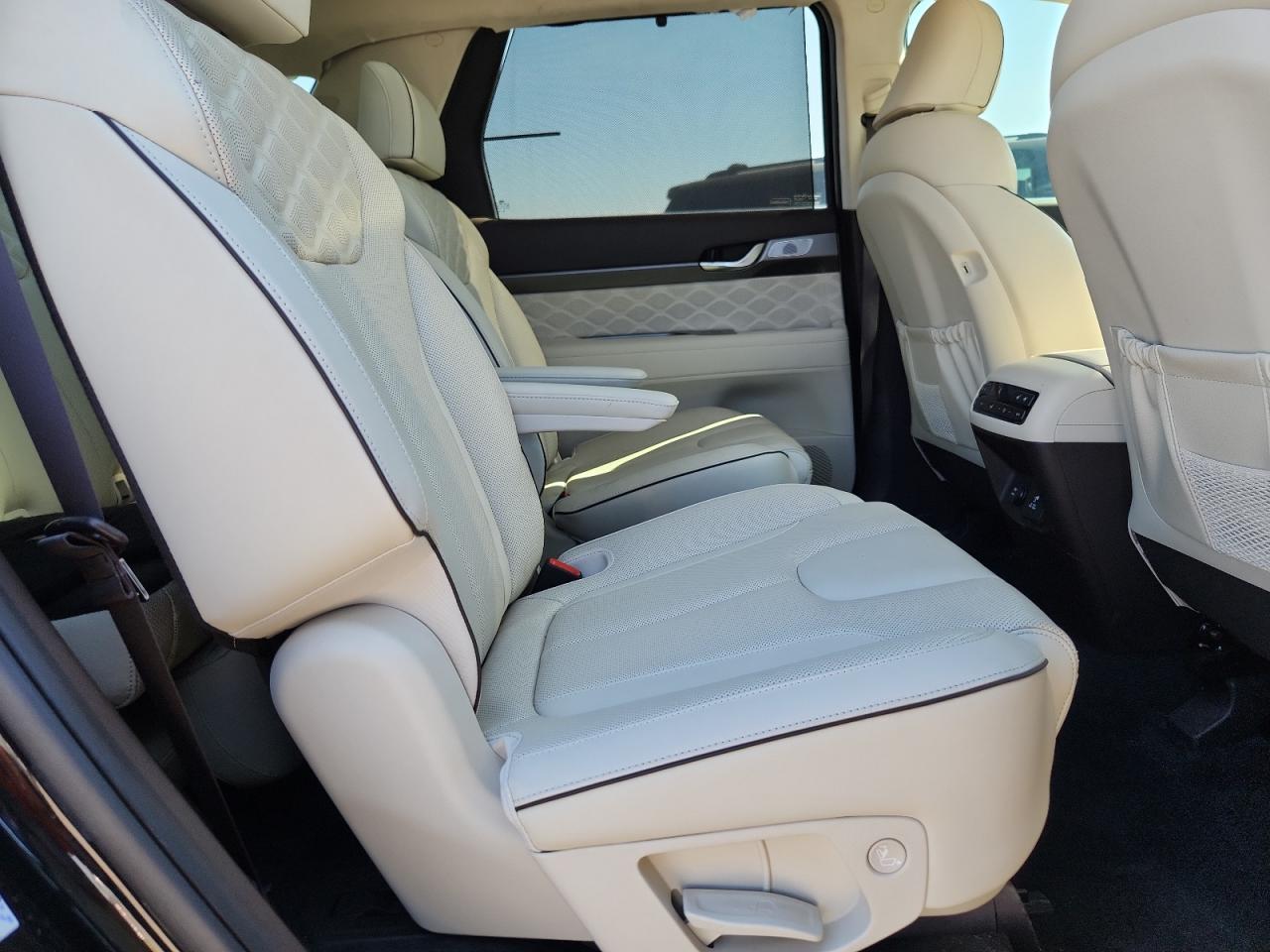2021 Hyundai Palisade Calligraphy VIN: KM8R7DHE3MU206398 Lot: 86697975