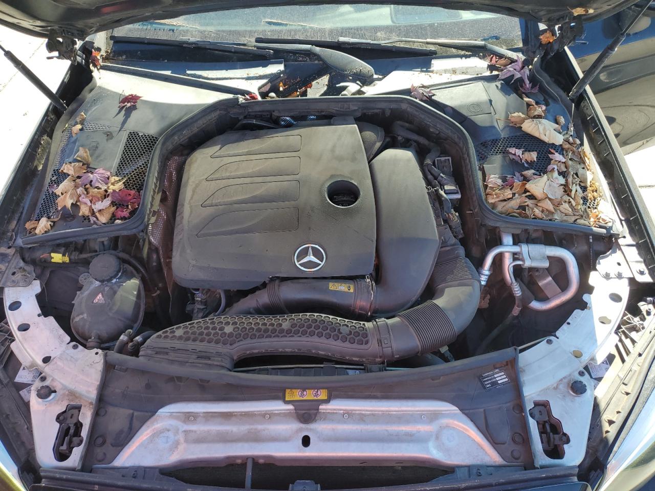 2019 Mercedes-Benz C 300 VIN: WDDWJ8DB6KF837648 Lot: 89919335