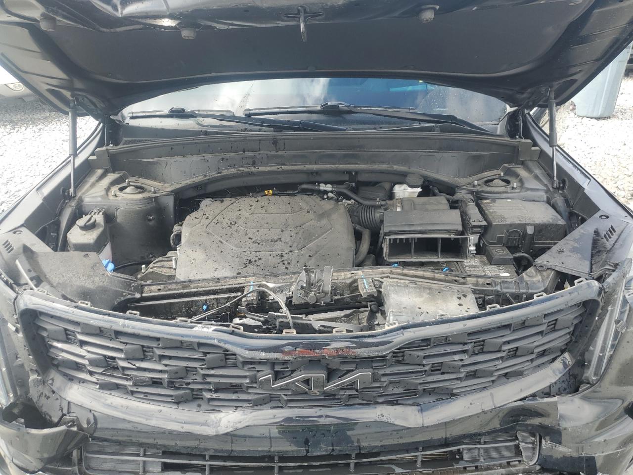 2022 Kia Telluride Sx VIN: 5XYP5DHC6NG309284 Lot: 84994445