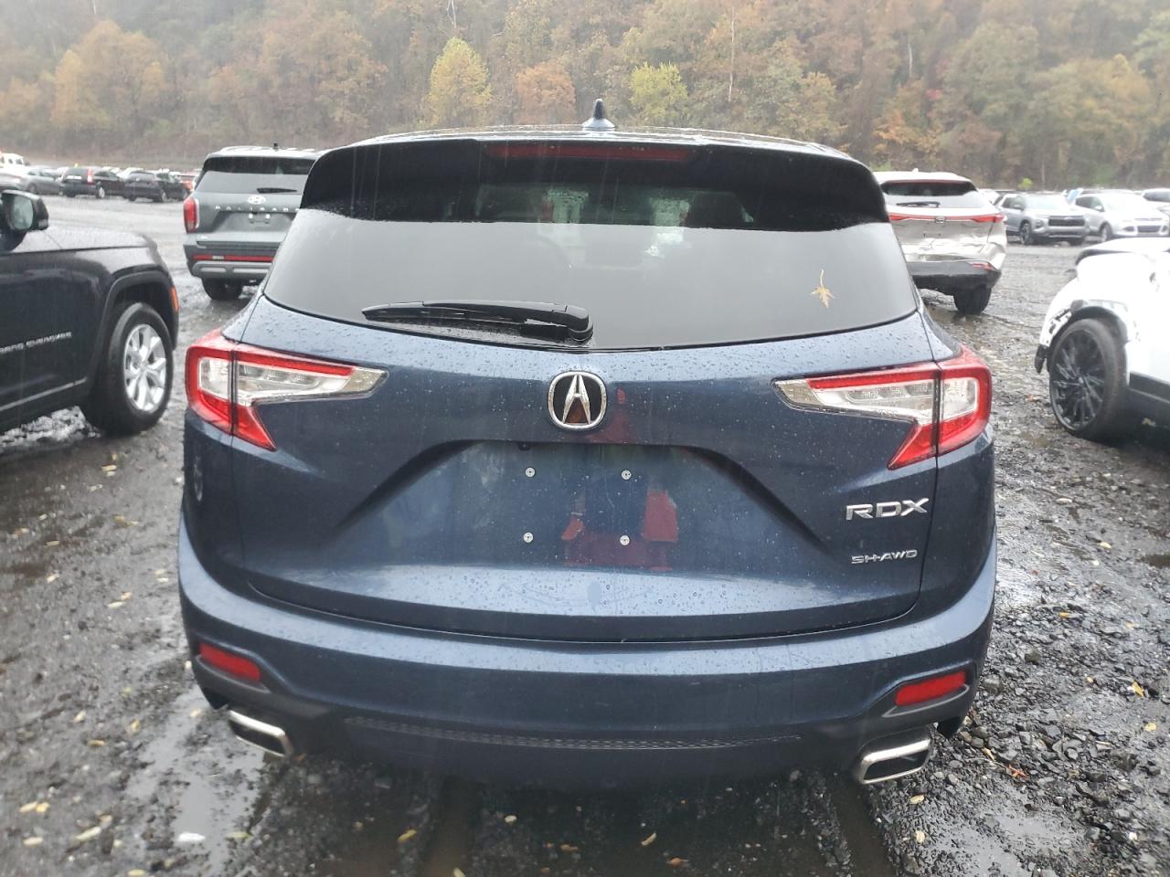 2025 Acura Rdx VIN: 5J8TC2H40SL011106 Lot: 91055715