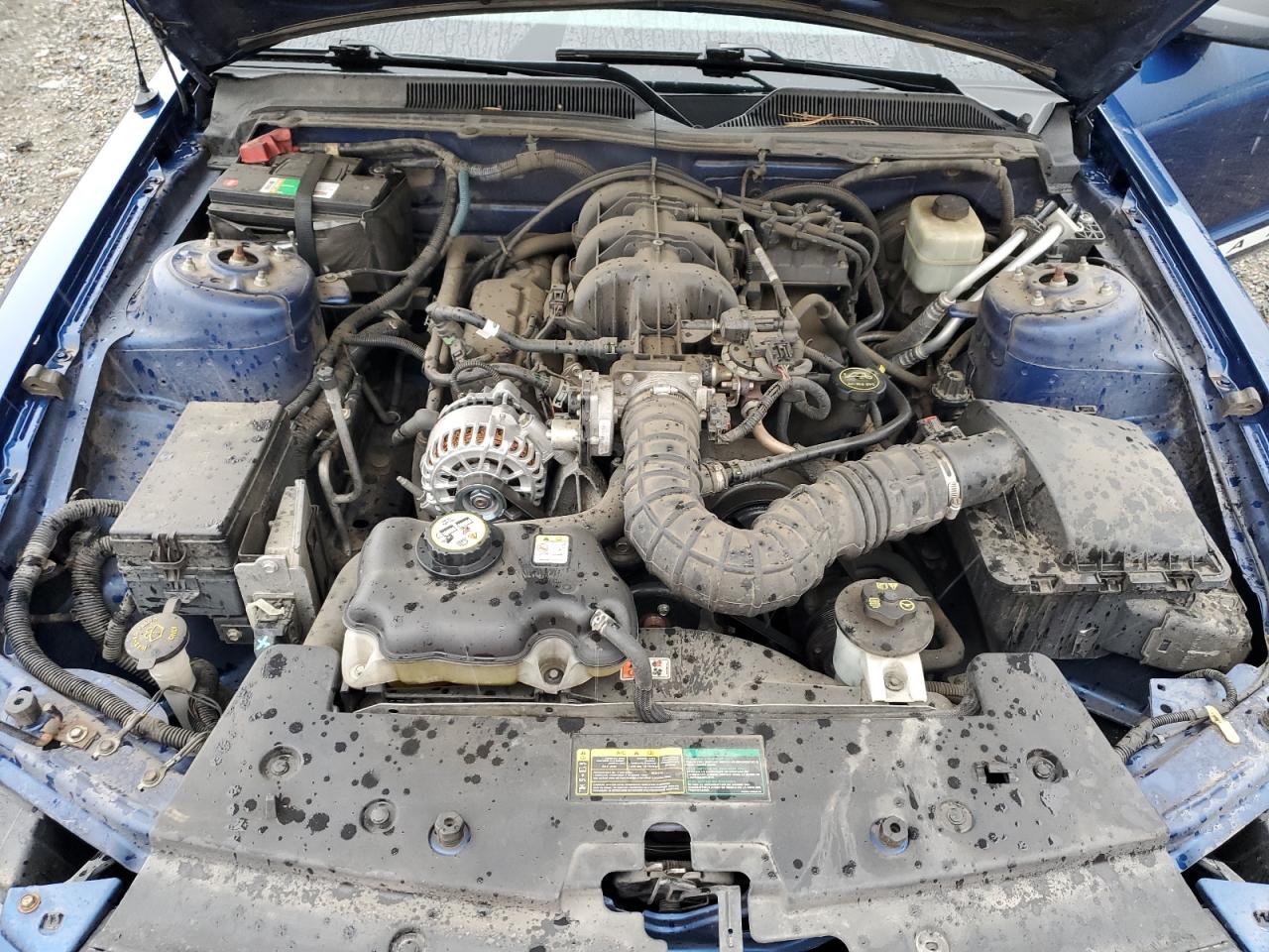 2007 Ford Mustang VIN: 1ZVFT80N775208429 Lot: 86252255