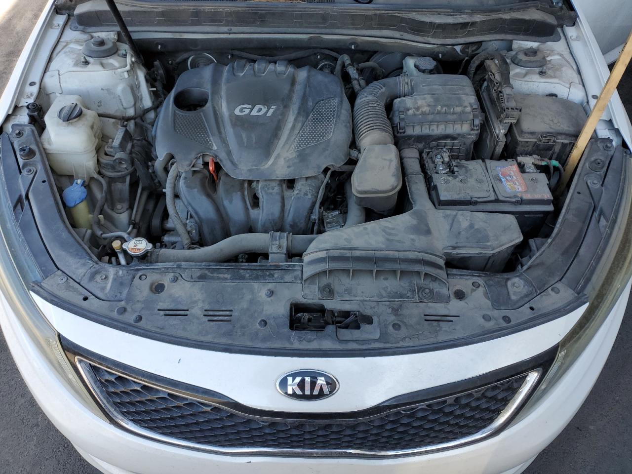 Optima Optima