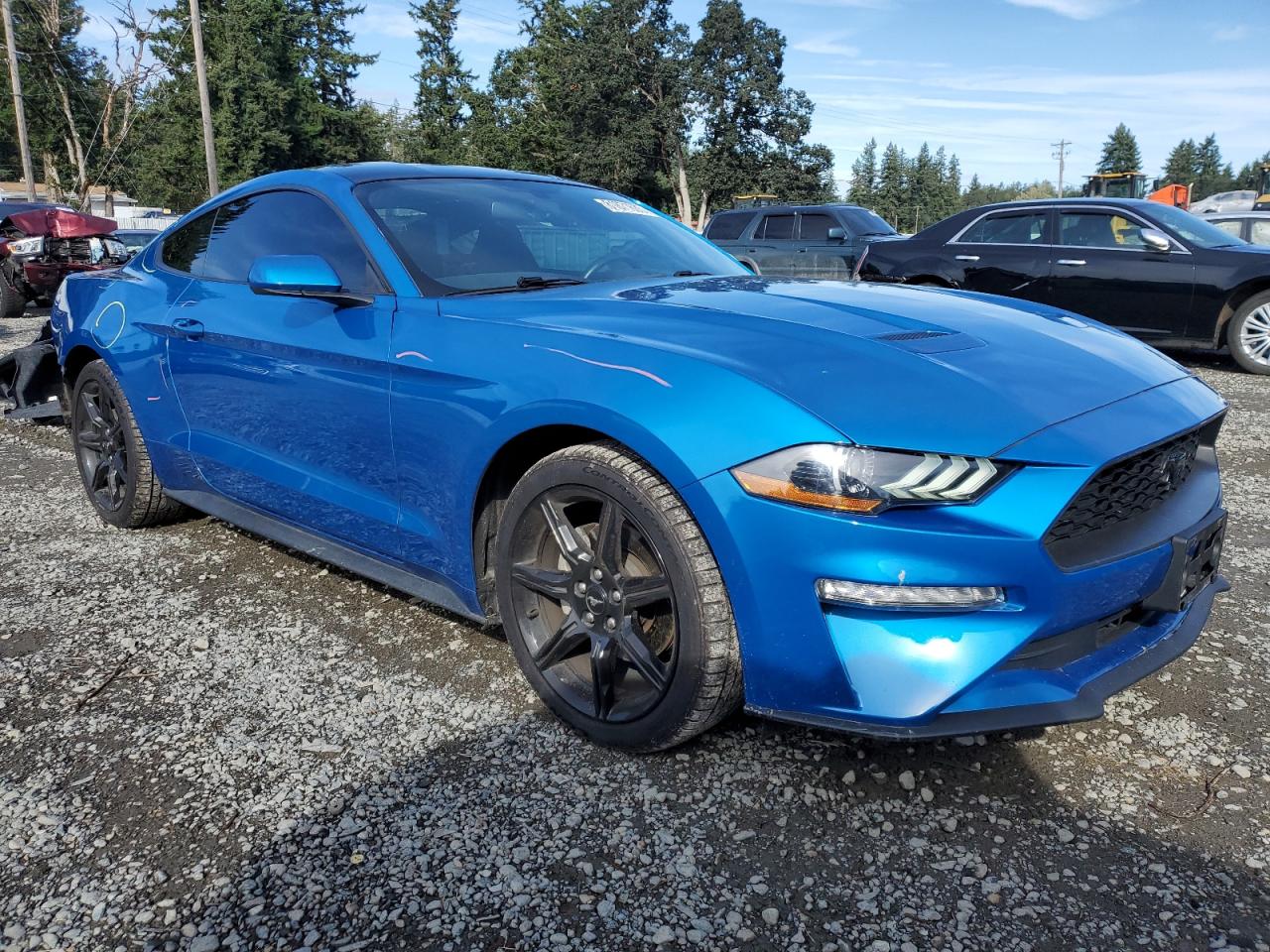 2019 Ford Mustang VIN: 1FA6P8TH6K5197872 Lot: 81871605