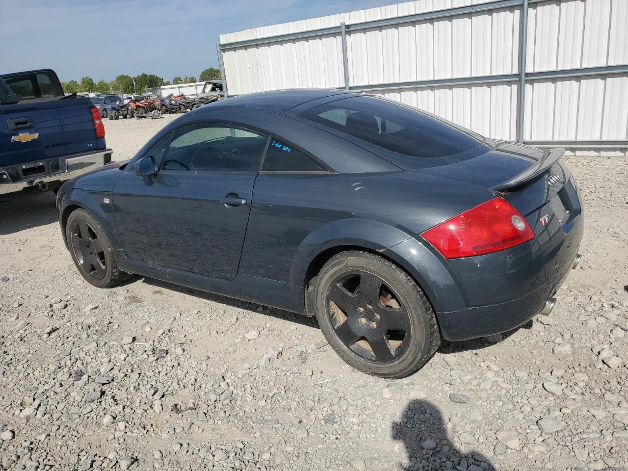 Фото: TRUWT28N231012698