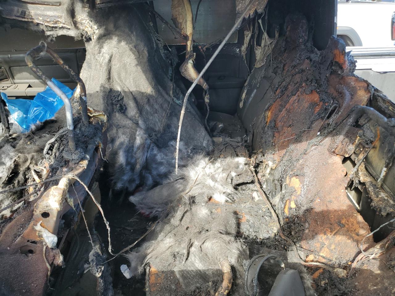 2009 Dodge Ram 1500 VIN: 1D3HV13T99J515903 Lot: 86178835