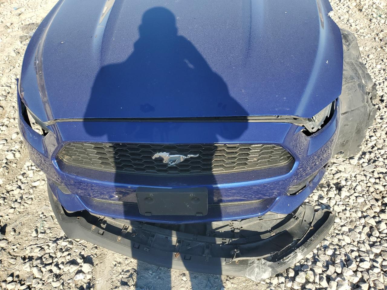 2015 Ford Mustang VIN: 1FA6P8AM6F5376127 Lot: 82296525