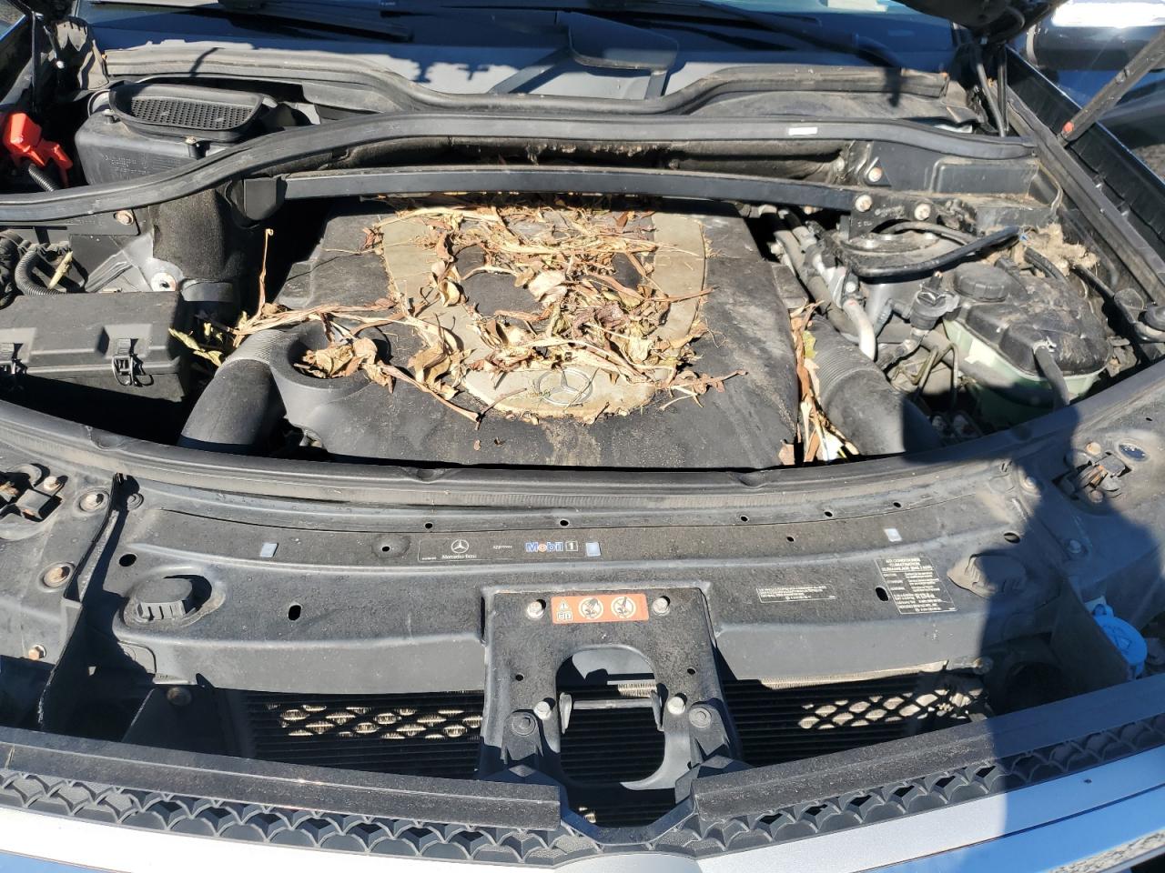 2010 Mercedes-Benz Gl 450 4Matic VIN: 4JGBF7BB1AA532833 Lot: 90743515