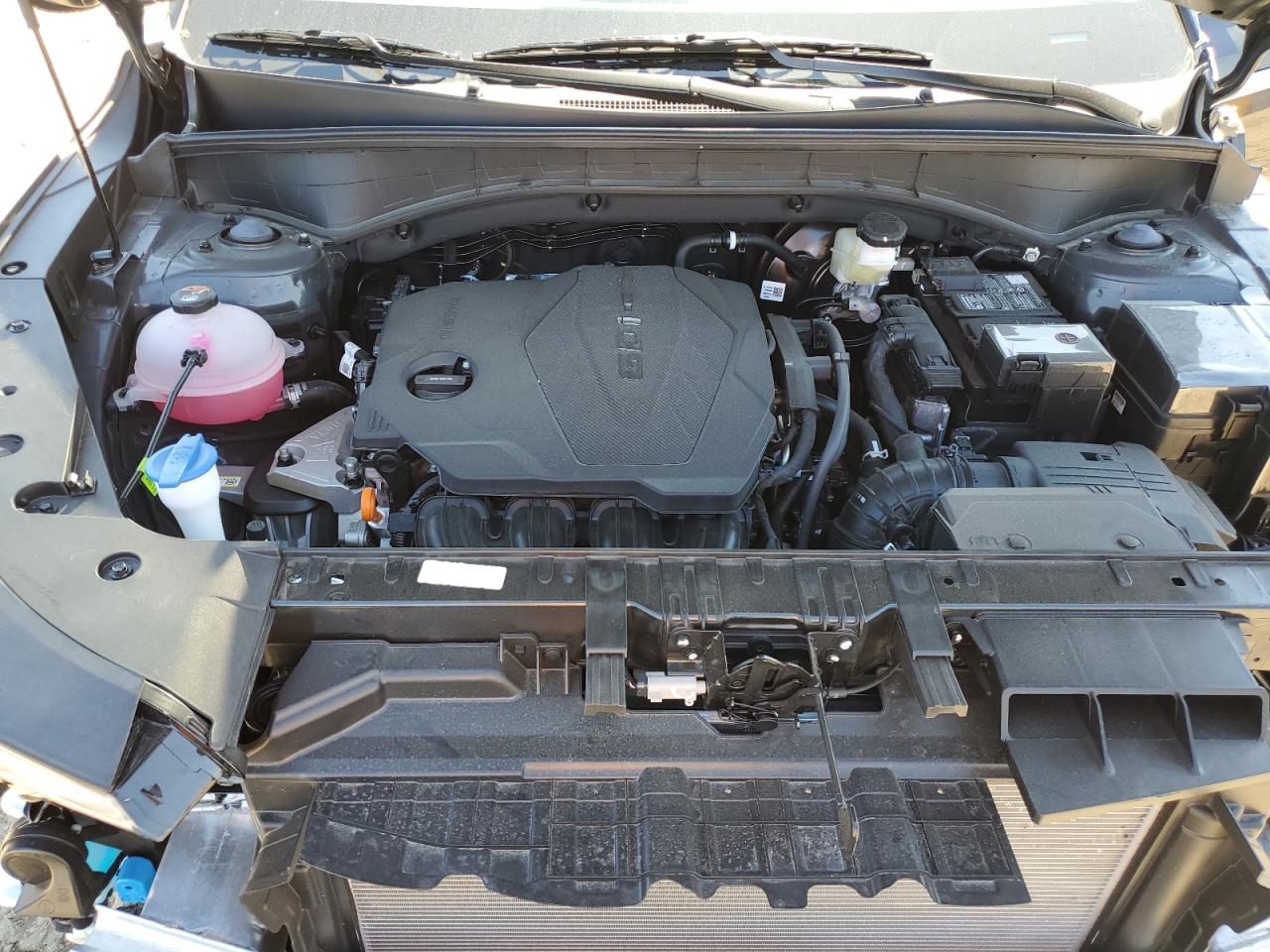 2025 Kia Sorento Lx VIN: 5XYRG4JC6SG388688 Lot: 86437745