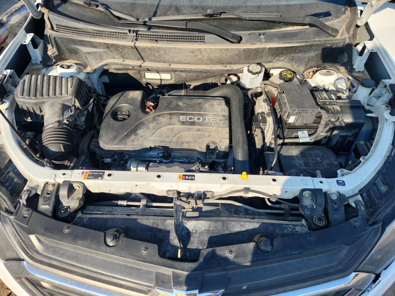 2019 Chevrolet Equinox Ls VIN: 3GNAXHEVXKS579598 Lot: 81182335