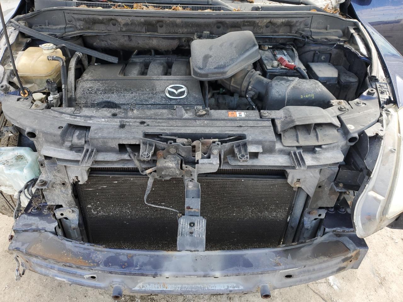 2007 Mazda Cx-9 VIN: JM3TB38YX70105469 Lot: 90380485