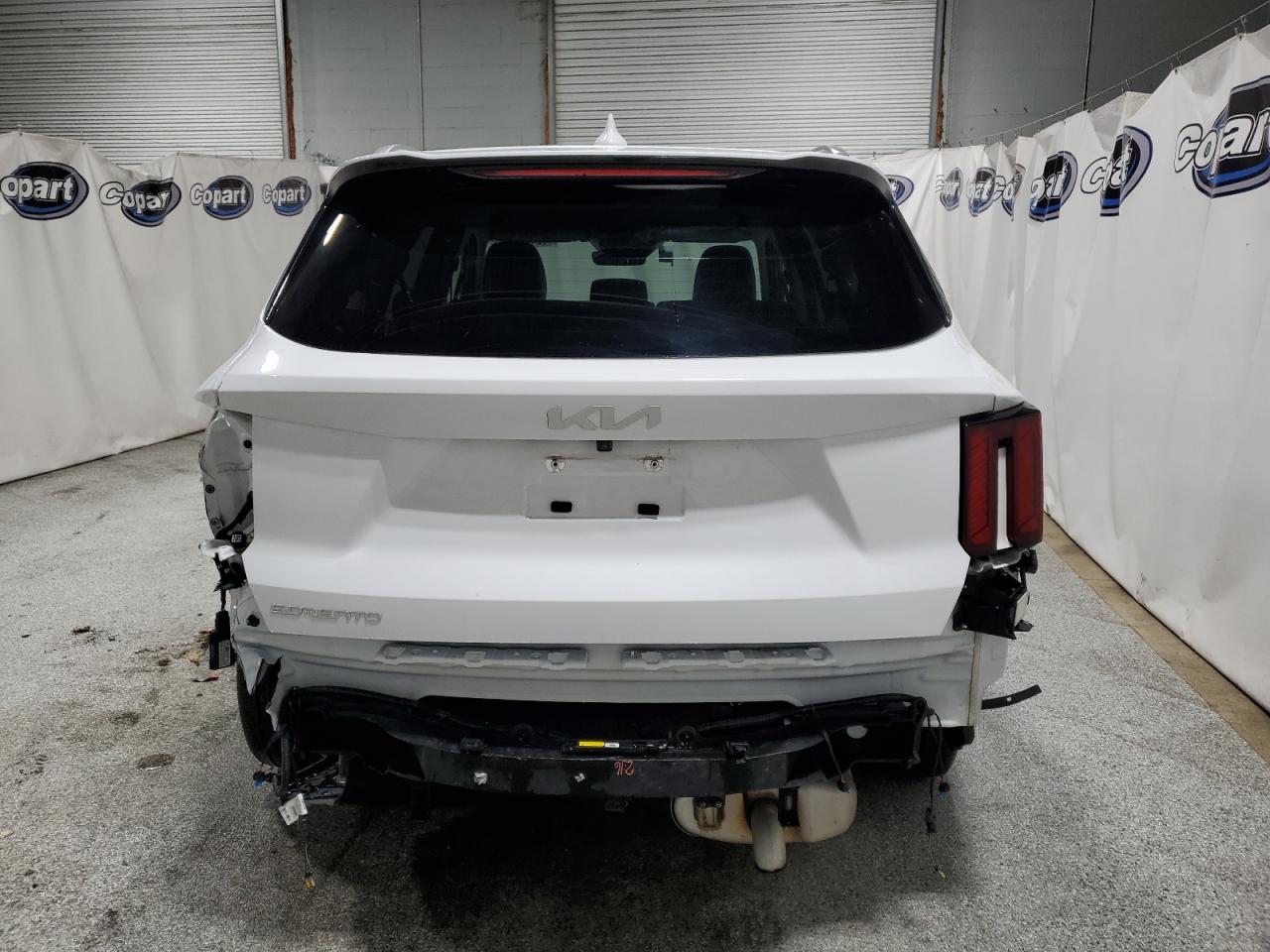 2024 Kia Sorento S VIN: 5XYRL4JC2RG271437 Lot: 87086625