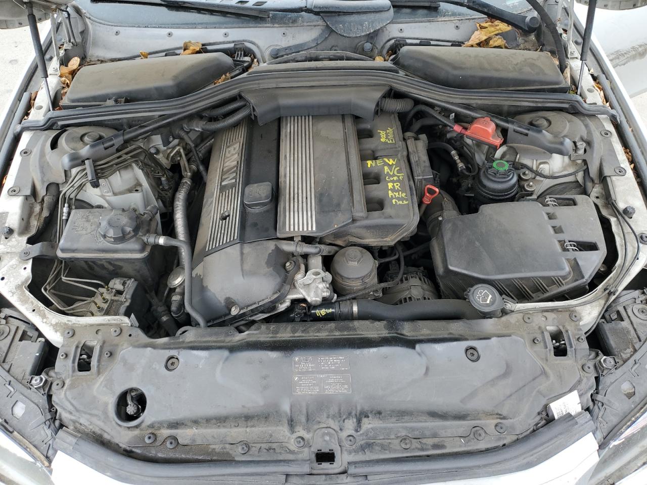 Фото: WBANA73575B048767