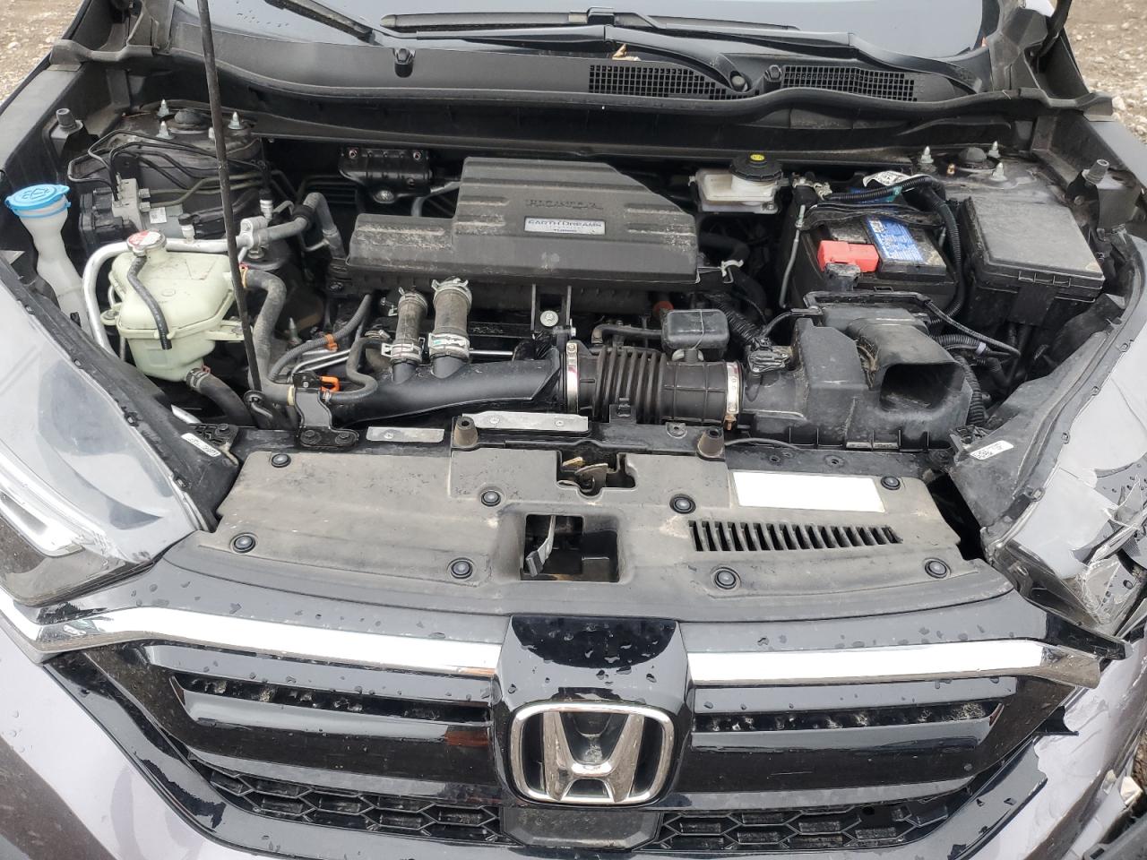 2020 Honda Cr-V Ex VIN: 7FARW2H58LE021321 Lot: 86646285