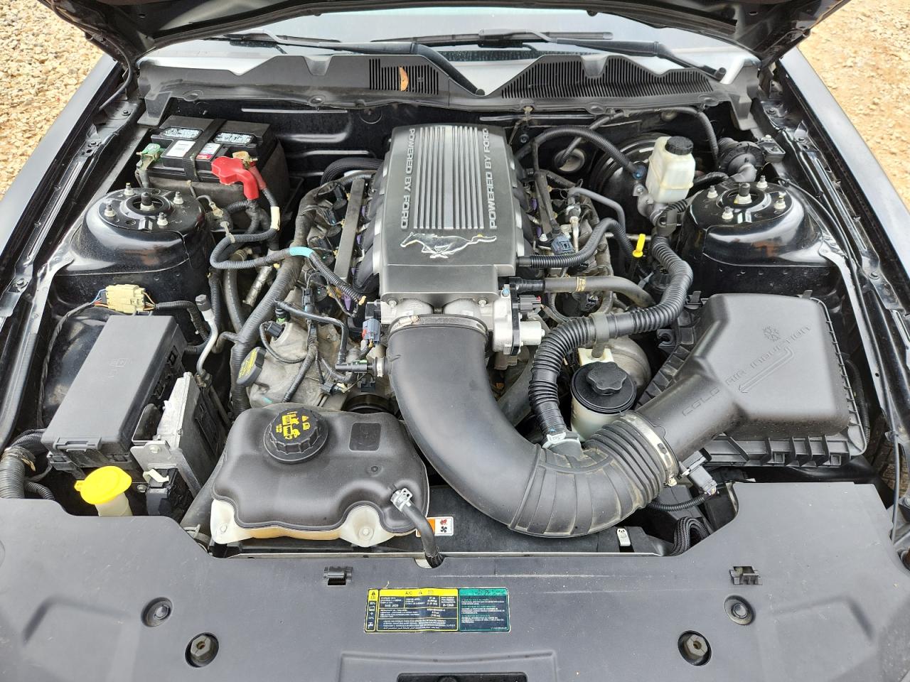 2010 Ford Mustang Gt VIN: 1ZVBP8CH9A5146998 Lot: 84996005