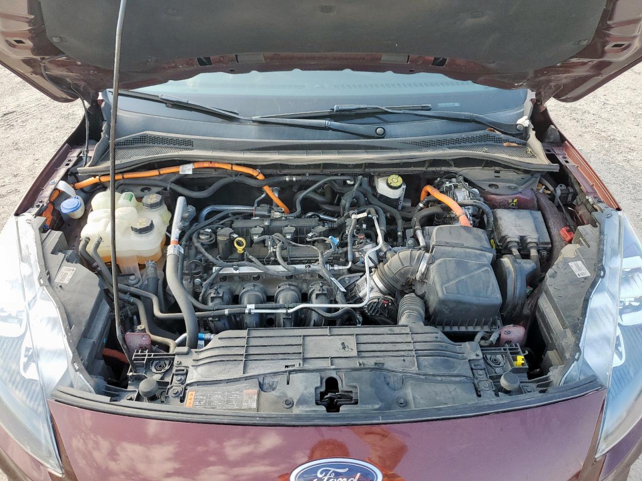 2021 Ford Escape Titanium VIN: 1FMCU9DZ7MUA95231 Lot: 84911015