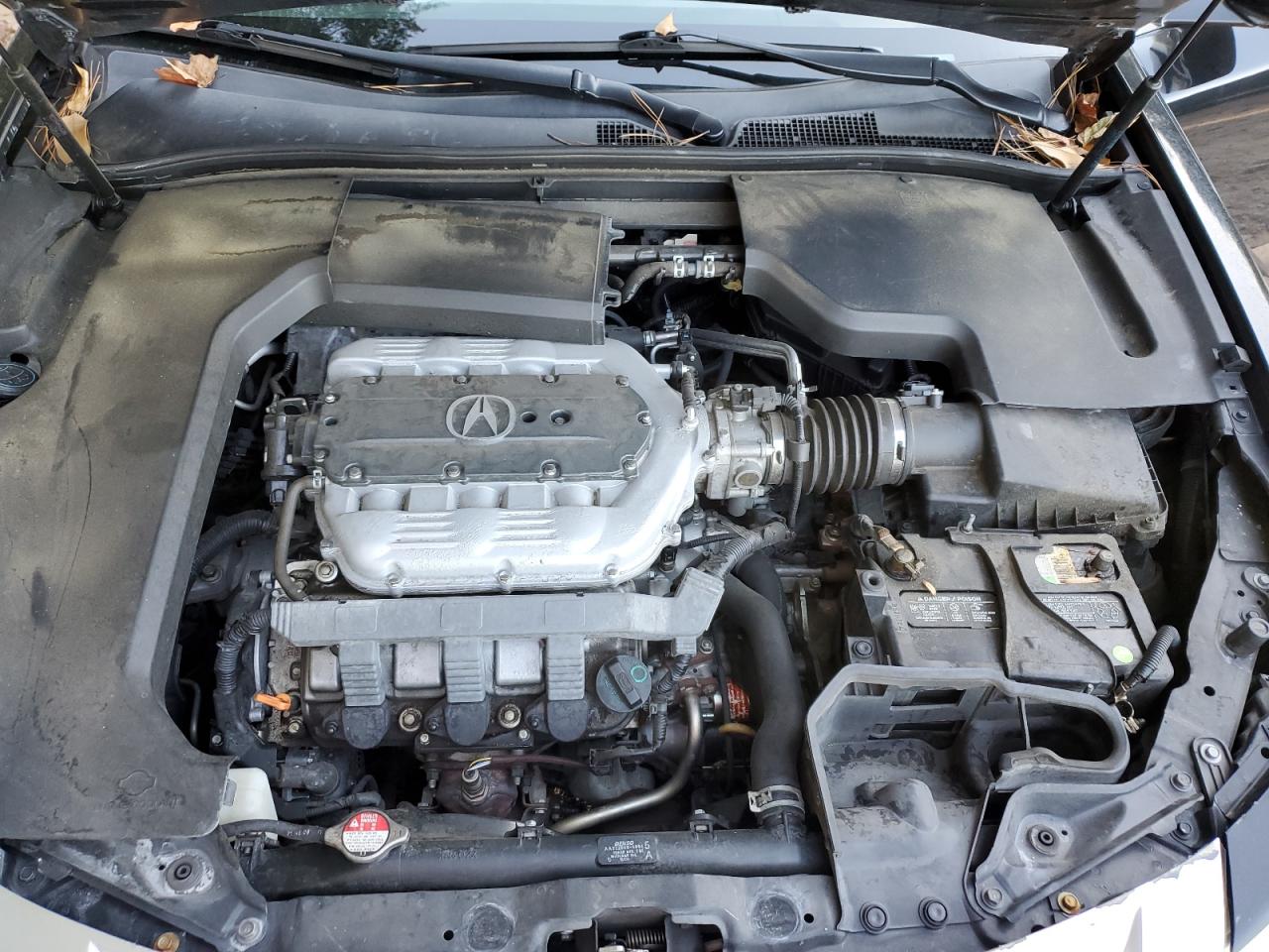 2010 Acura Tl VIN: 19UUA8F54AA011774 Lot: 81978385