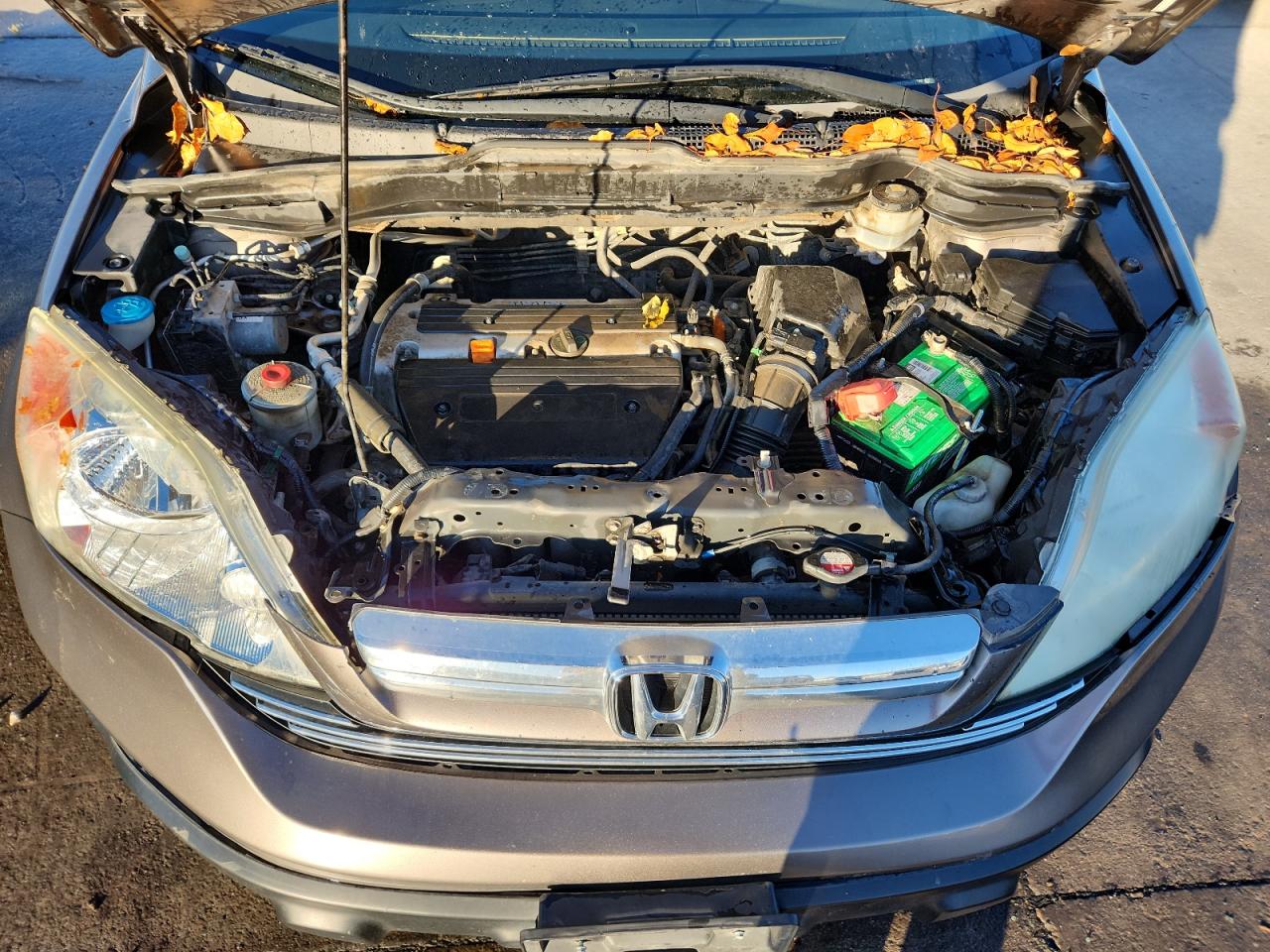 2009 Honda Cr-V Exl VIN: 5J6RE48769L056340 Lot: 87059675