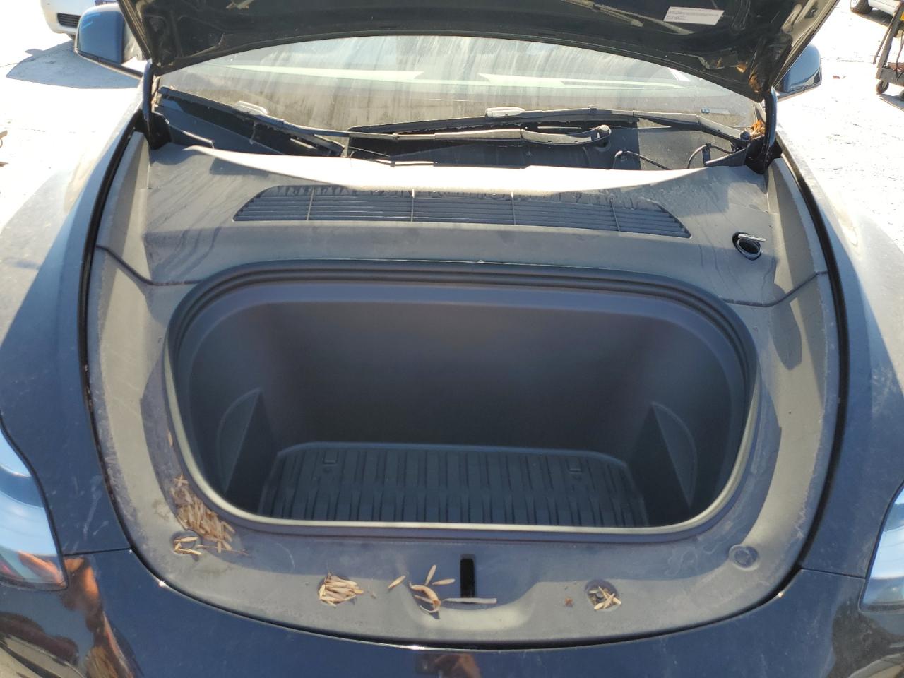 2023 Tesla Model Y VIN: 7SAYGDEEXPA116005 Lot: 87364285