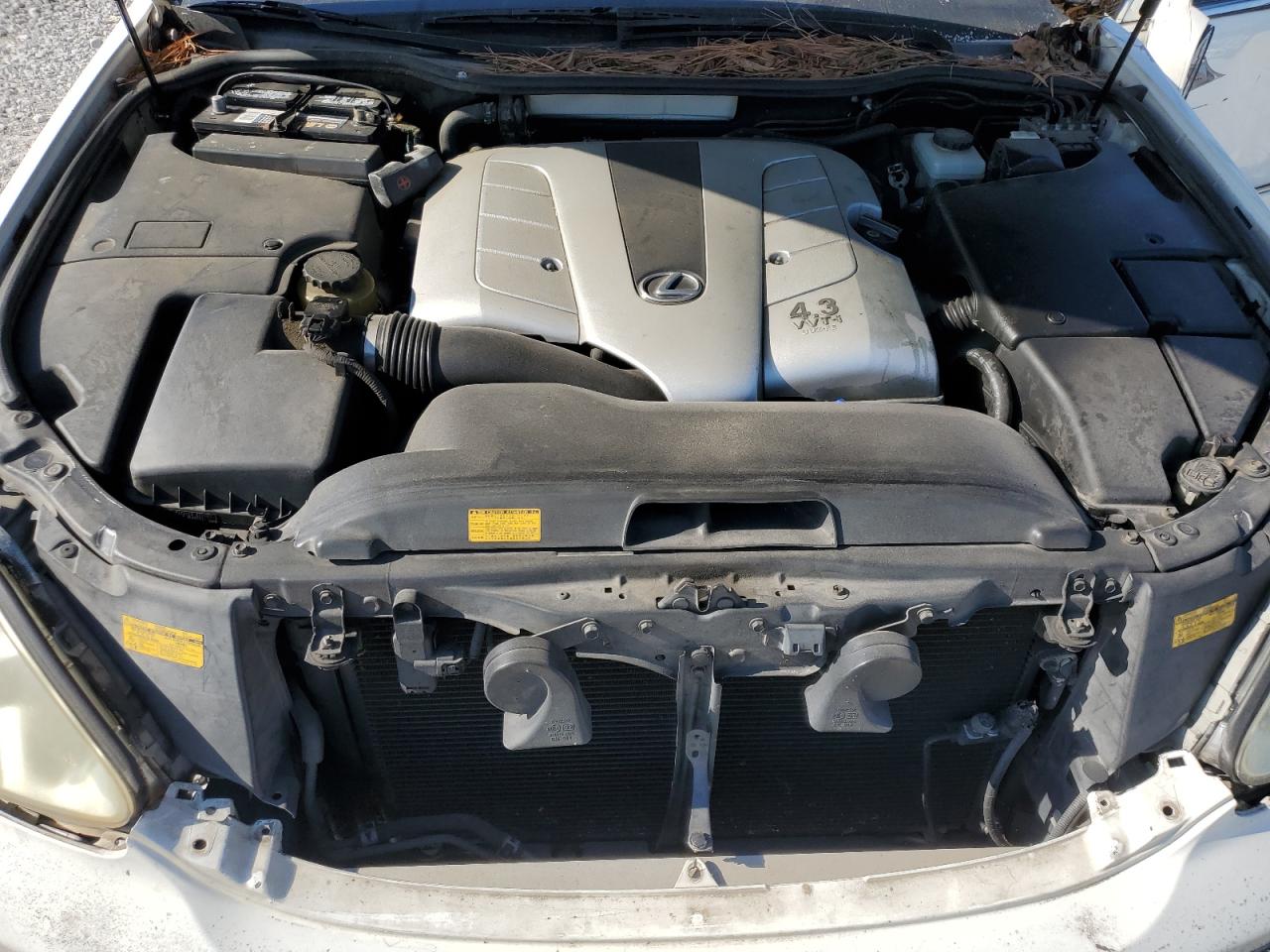 2006 Lexus Ls 430 VIN: JTHBN36F965041373 Lot: 84932795