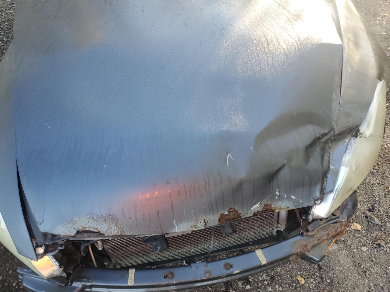 2006 Honda Accord Ex VIN: 1HGCM56806A809420 Lot: 71828935