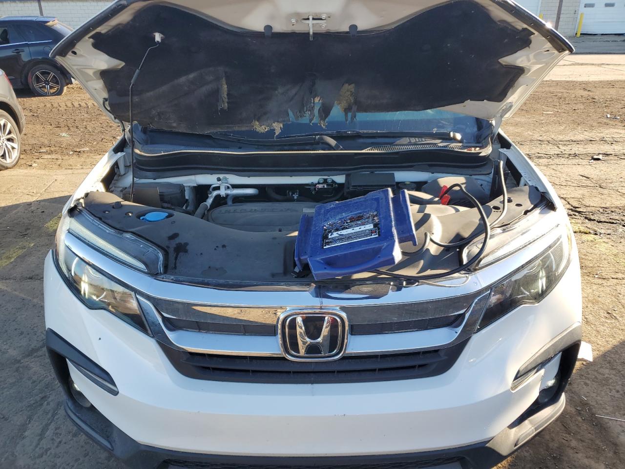 2019 Honda Pilot Ex VIN: 5FNYF6H31KB048680 Lot: 84944625