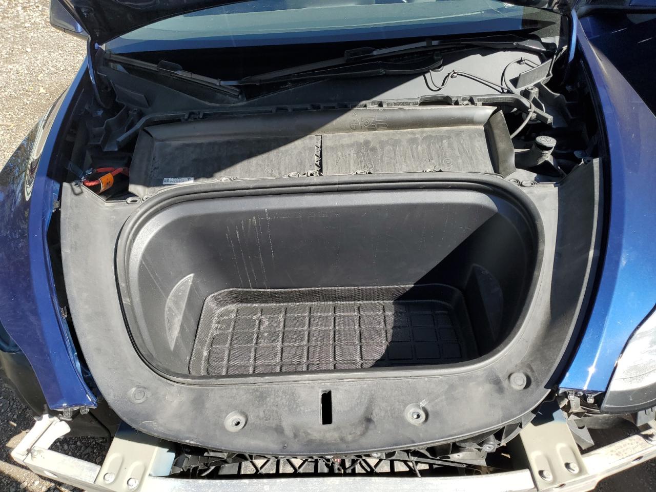 2023 Tesla Model Y VIN: 7SAYGDEF1PF600317 Lot: 84543275