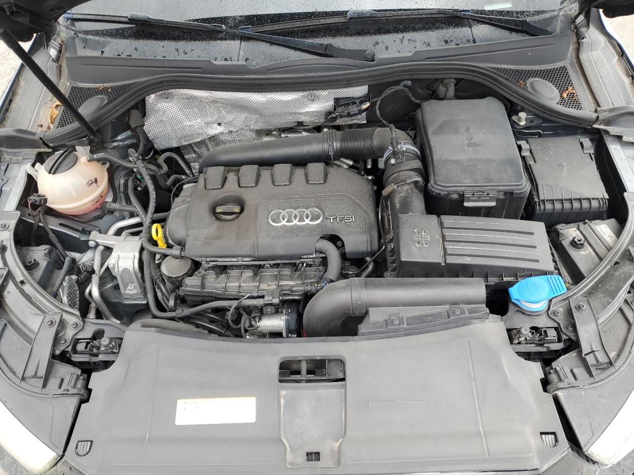 2017 Audi Q3 Premium Plus VIN: WA1HCCFS9HR013240 Lot: 86163945