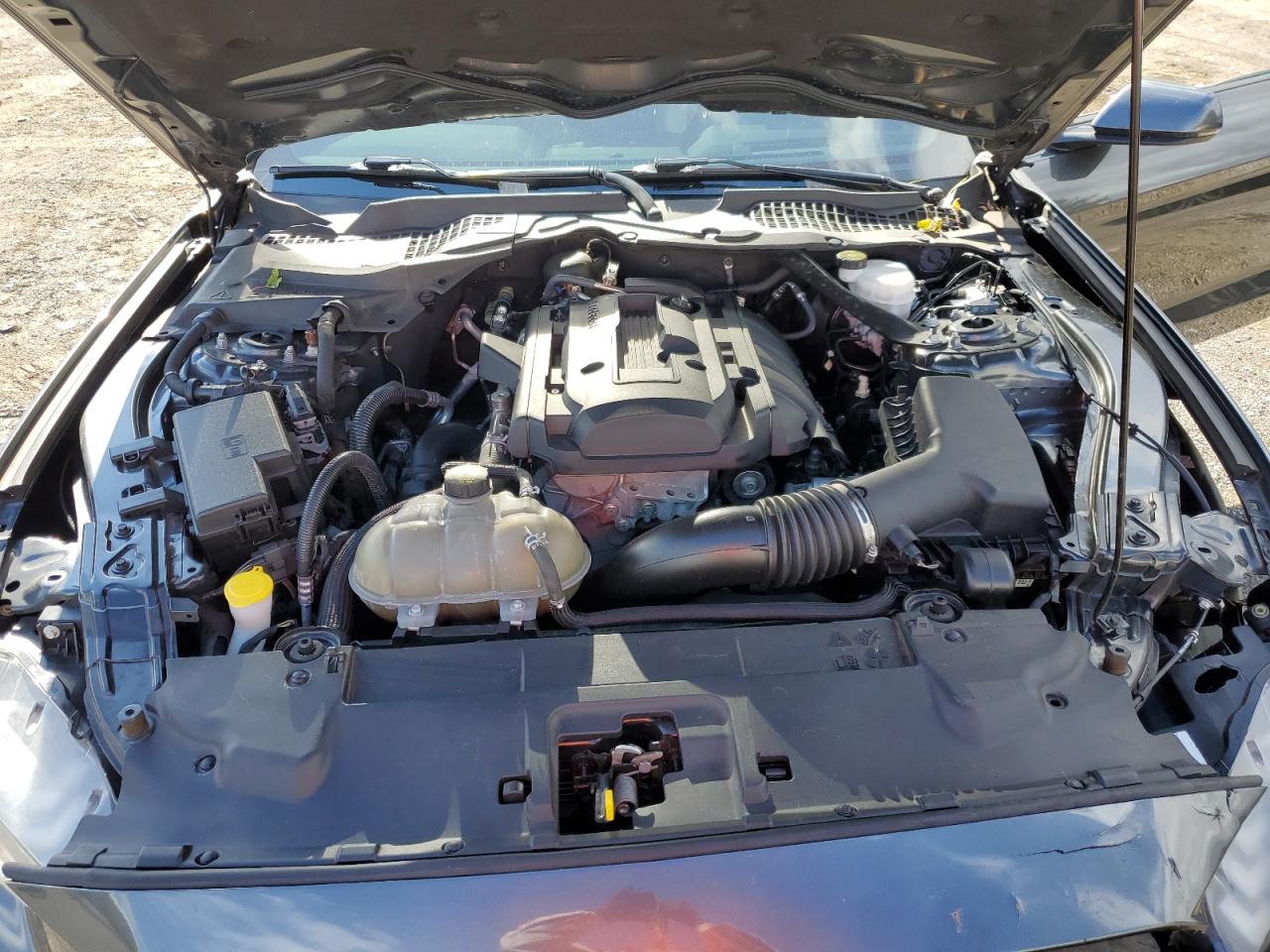 2019 Ford Mustang VIN: 1FATP8UH2K5195781 Lot: 82644735