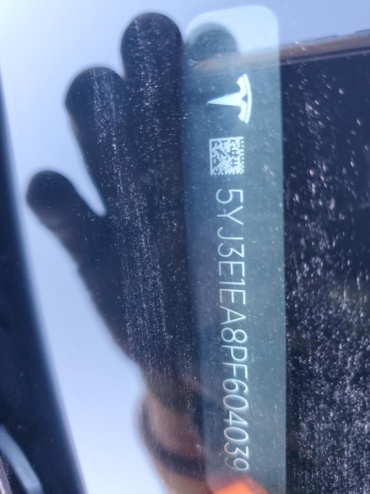 2023 Tesla Model 3 VIN: 5YJ3E1EA8PF604039 Lot: 87423695