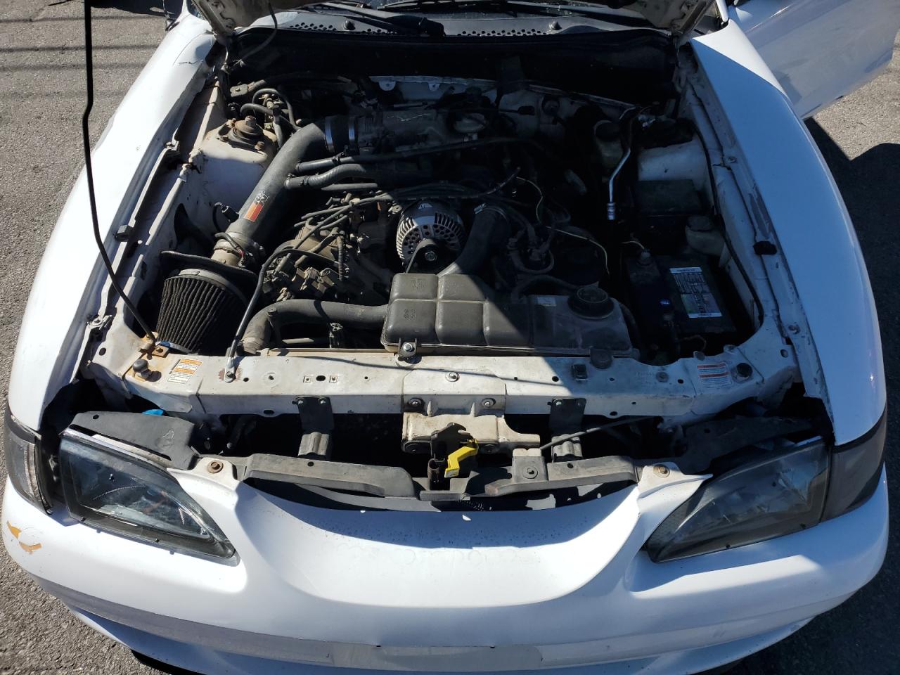 1998 Ford Mustang Gt VIN: 1FAFP42X9WF179805 Lot: 82494395