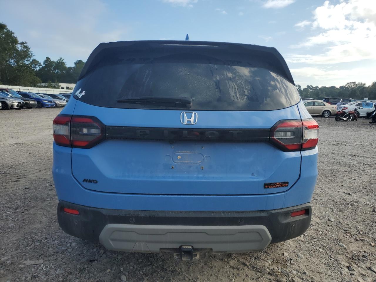 2025 Honda Pilot Trailsport VIN: 5FNYG1H68SB010020 Lot: 85325425