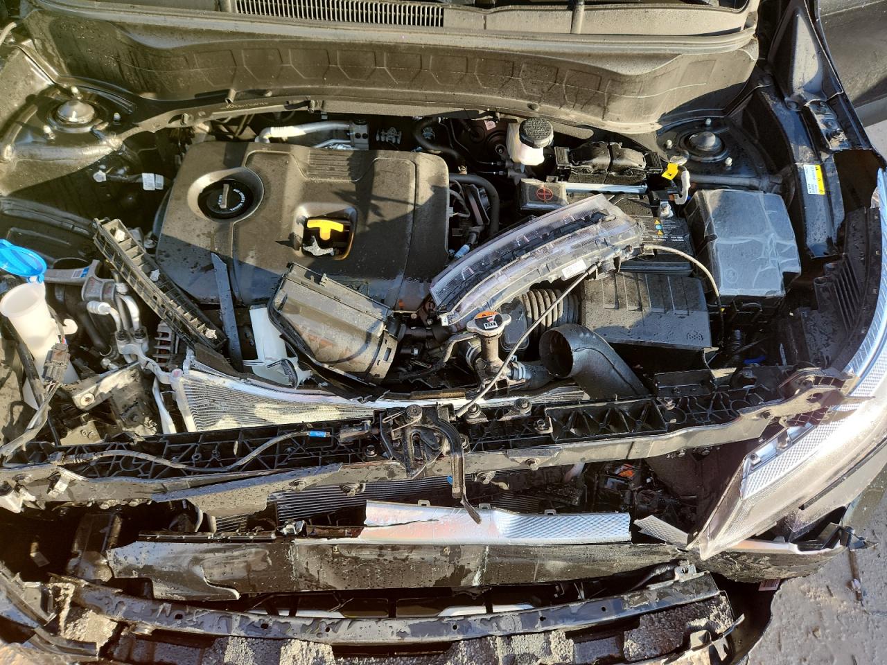 2024 Kia Seltos Ex VIN: KNDERCAA2R7630420 Lot: 90398365