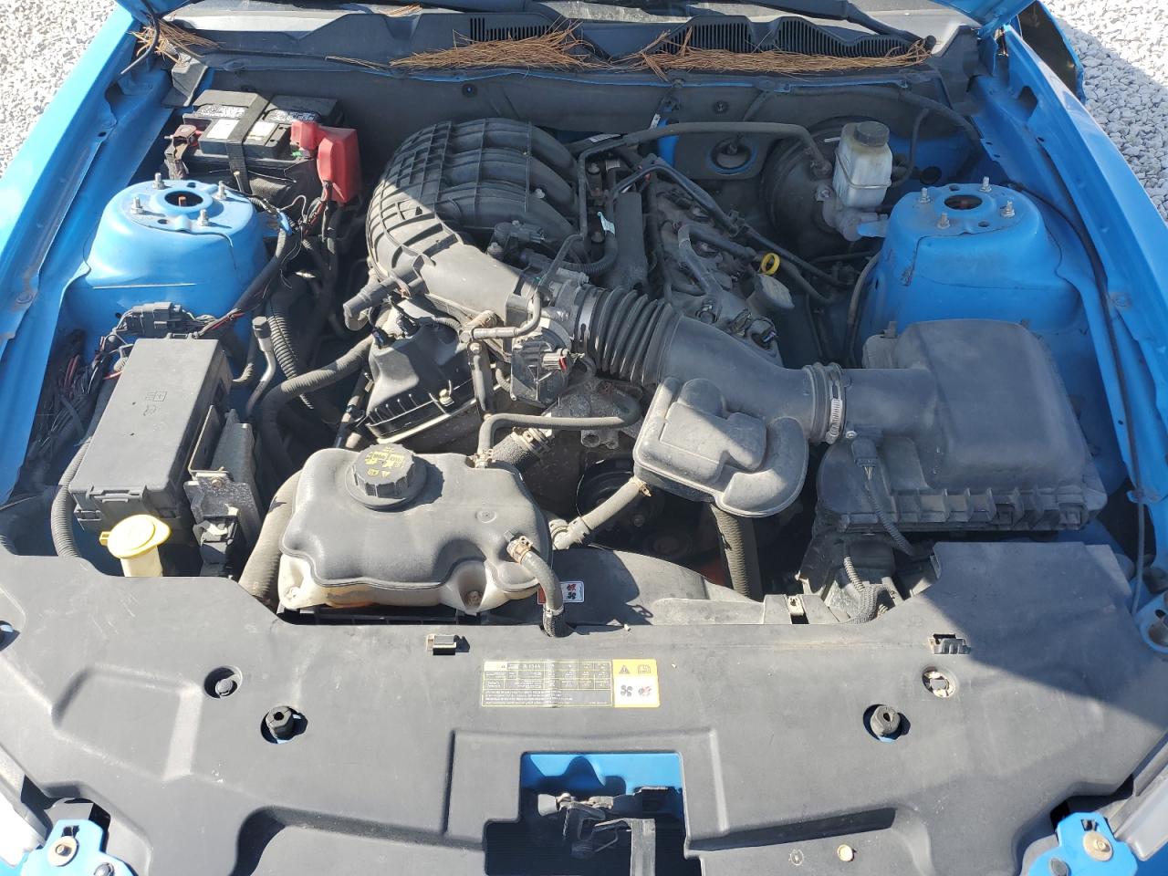 2012 Ford Mustang VIN: 1ZVBP8AM4C5271135 Lot: 82495765