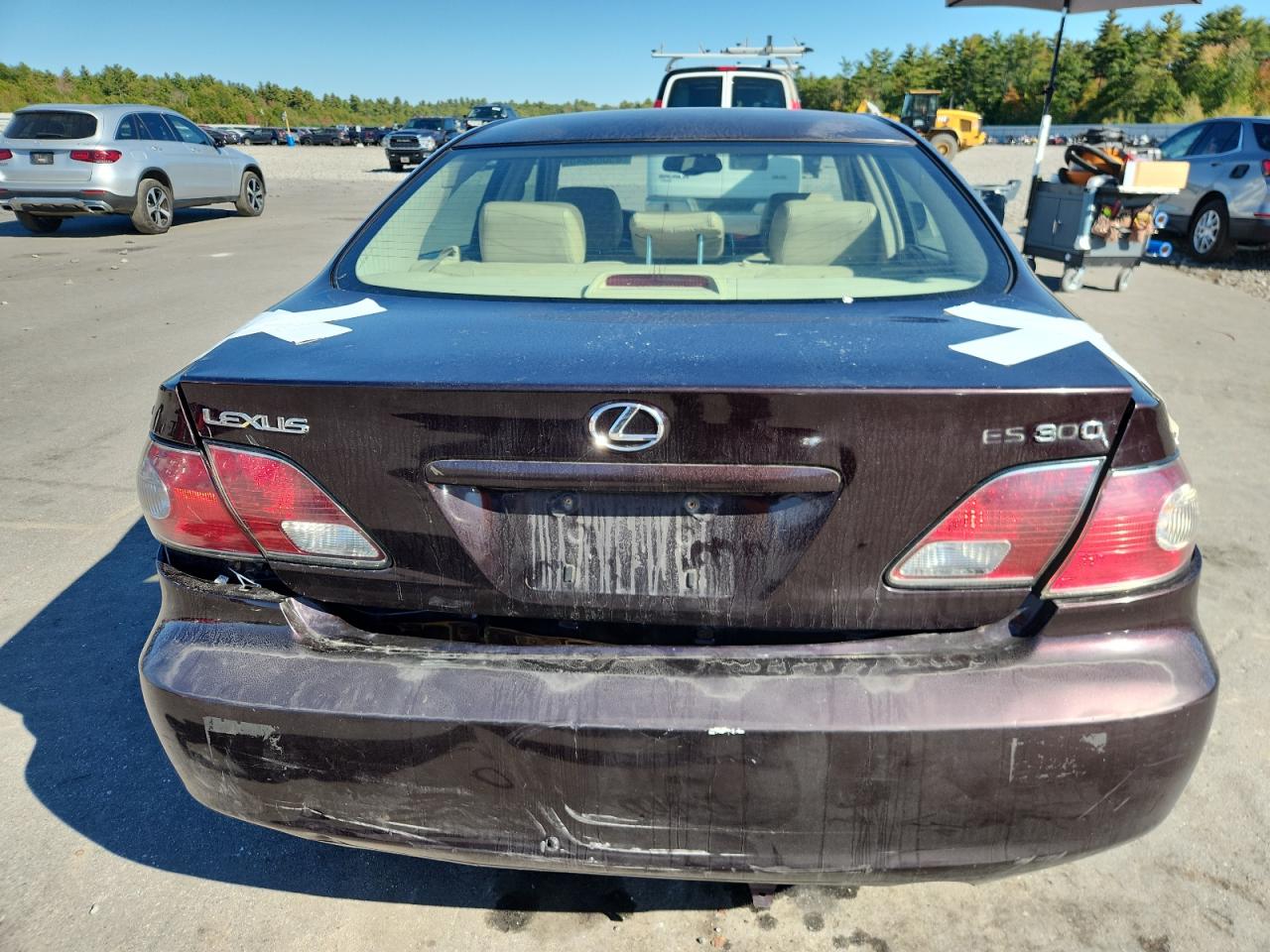 2003 Lexus Es 300 VIN: JTHBF30G030151493 Lot: 85083645