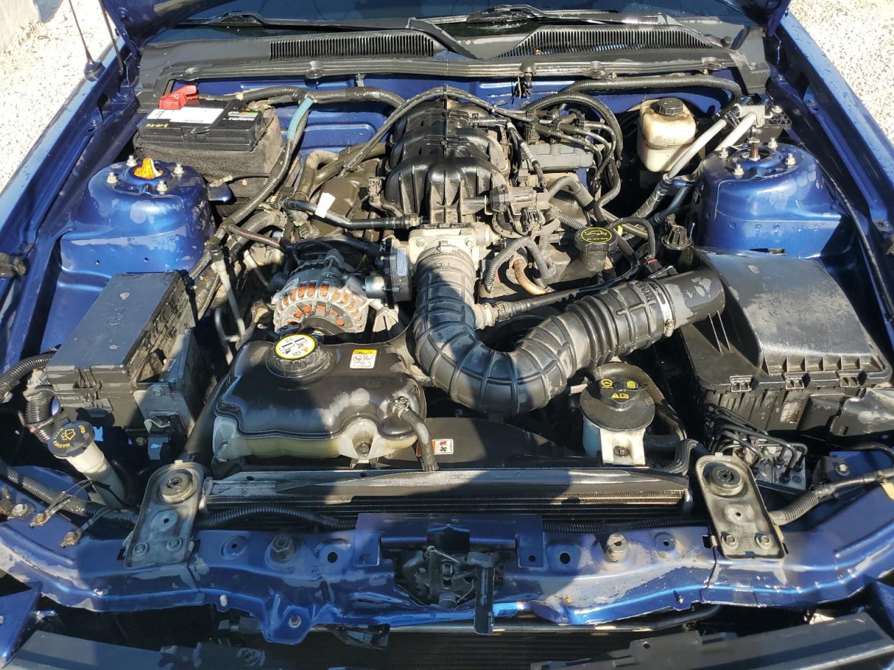 2007 Ford Mustang VIN: 1ZVFT84N575368898 Lot: 84965065