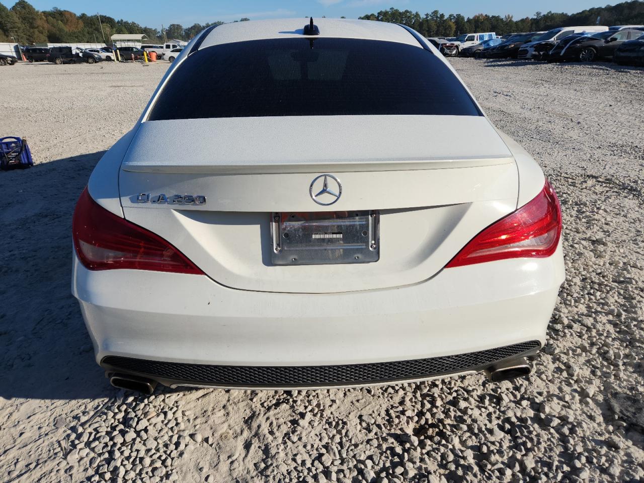 2014 Mercedes-Benz Cla 250 VIN: WDDSJ4EB9EN119494 Lot: 87072495