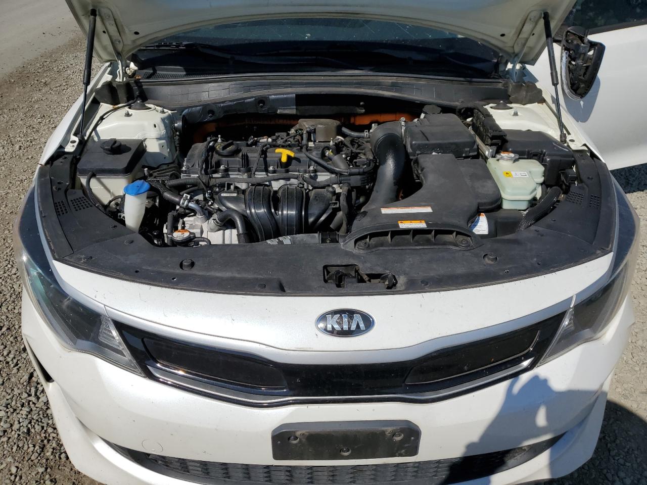 2017 Kia Optima Hybrid VIN: KNAGT4LE5H5011172 Lot: 85005705