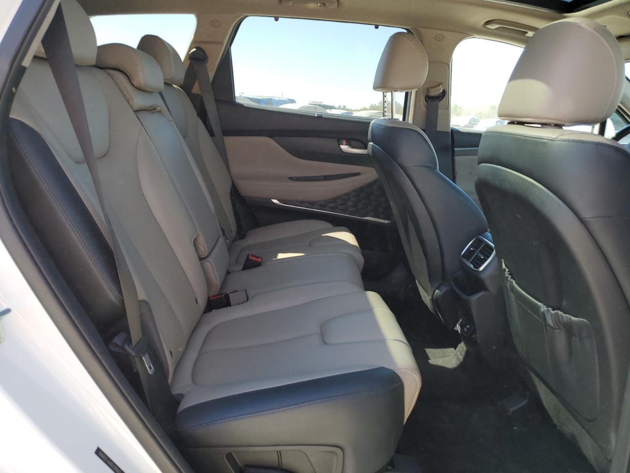2020 Hyundai Santa Fe Limited VIN: 5NMS5CAA0LH290621 Lot: 82396565