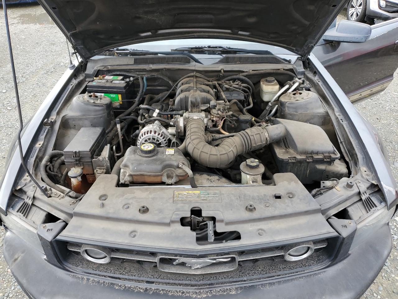 2008 Ford Mustang VIN: 1ZVHT80N485131948 Lot: 81934175