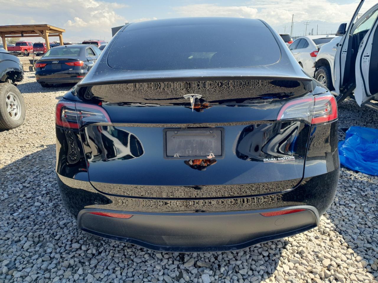 2024 Tesla Model Y VIN: 7SAYGDEF6RF048557 Lot: 81765075