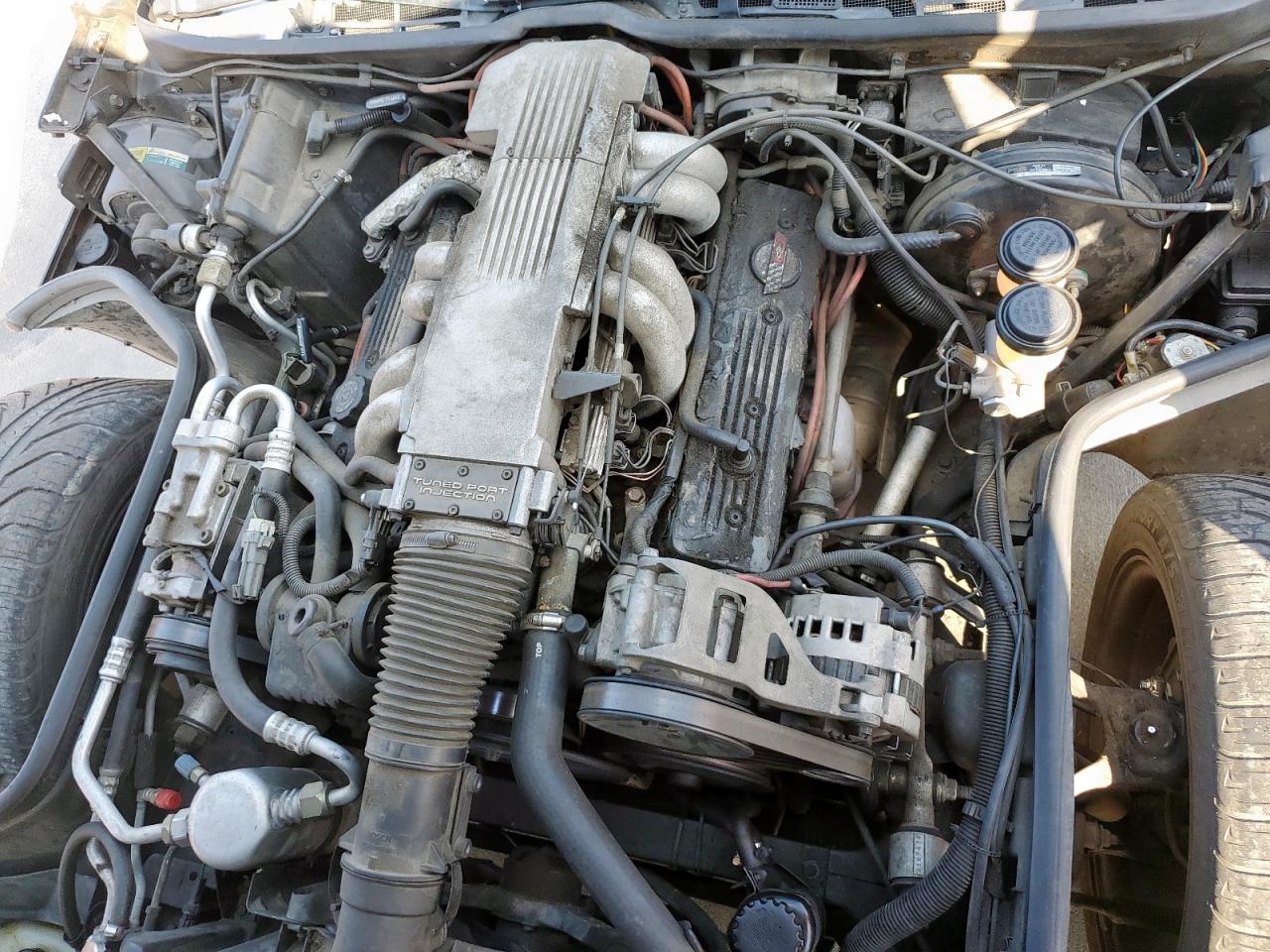 1988 Chevrolet Corvette VIN: 1G1YY3181J5118590 Lot: 82434855